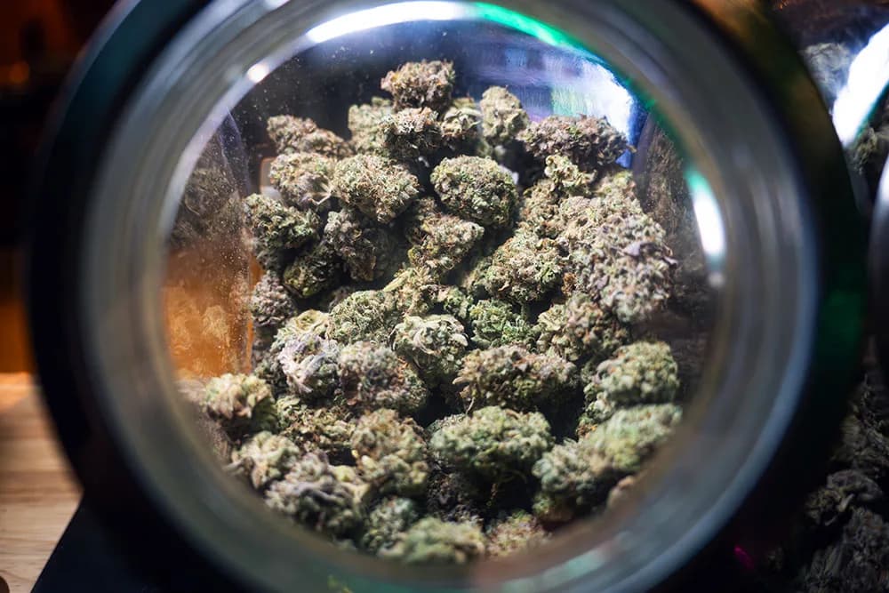 Coffeeshops in Barcelona? Hier bekommst du wirklich Cannabis