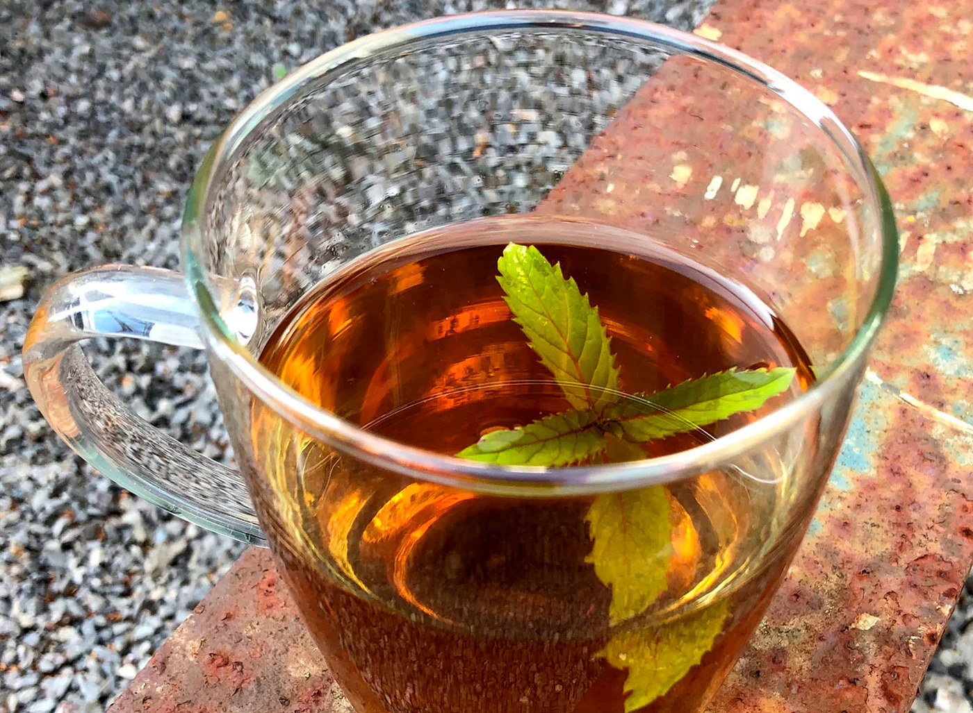 Kraft der Natur – Jeden Tag Bio-Zitronengras-Tee bei Erkältung trinken